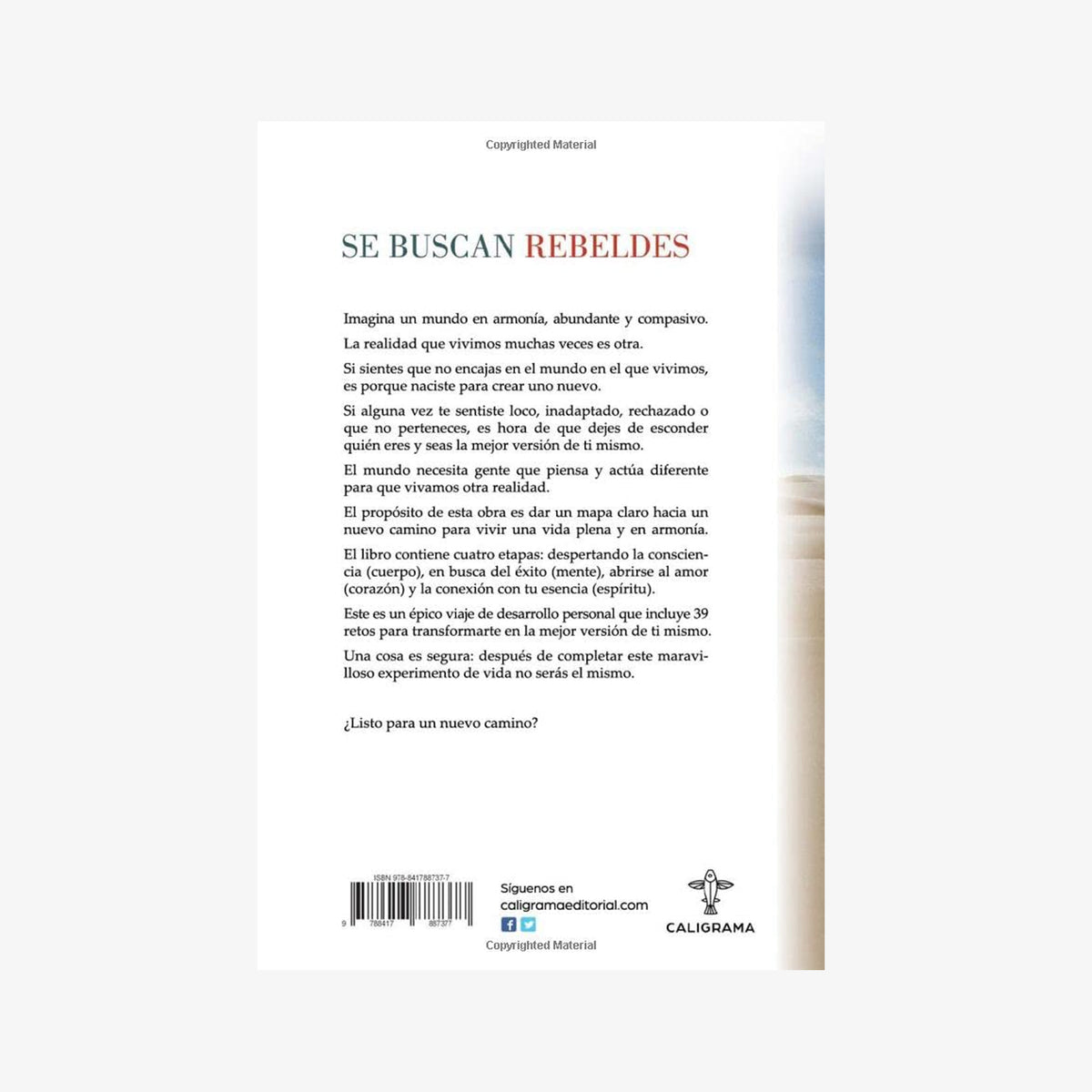 Libro “Se buscan Rebeldes”